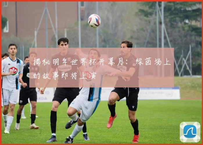 揭秘明年世界杯开幕月：绿茵场上的故事即将上演