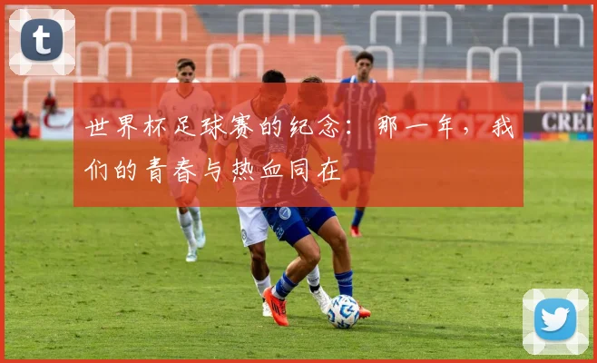 世界杯足球赛的纪念:那一年,我们的青春与热血同在