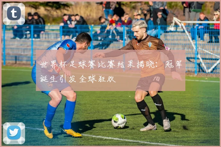 世界杯足球赛比赛结果揭晓:冠军诞生引发全球狂欢
