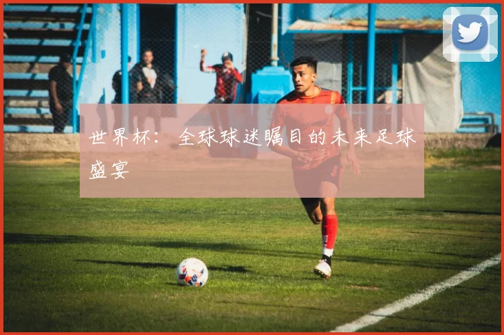 世界杯：全球球迷瞩目的未来足球盛宴