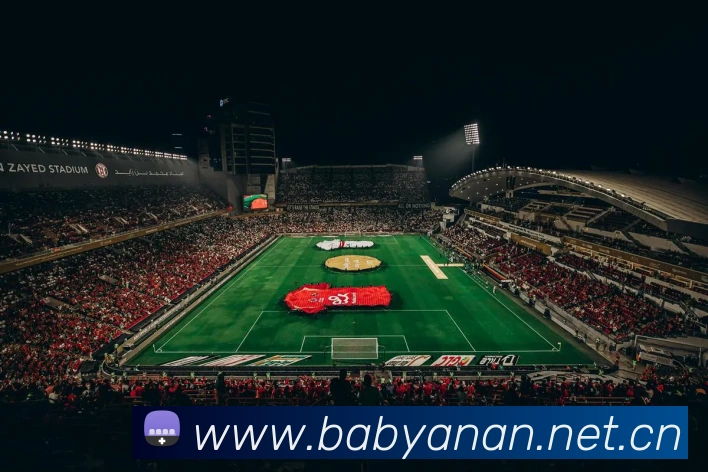 App Interface Preview